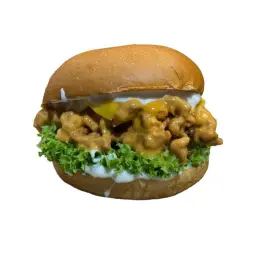 ساندوتش سبايسي كرسبي
